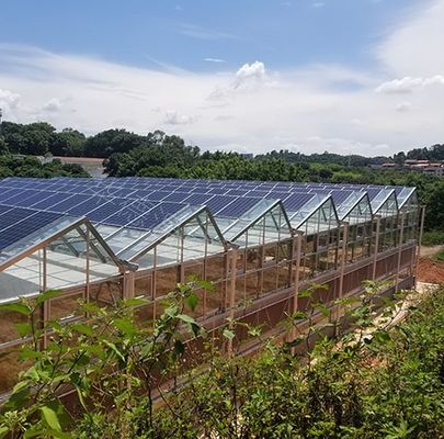 30 dias de devolução reembolsos dupla camada PE/Po película plástica fotovoltaica estufa solar