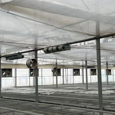 Estufas para a produção de vegetais US 20/m2 Min.