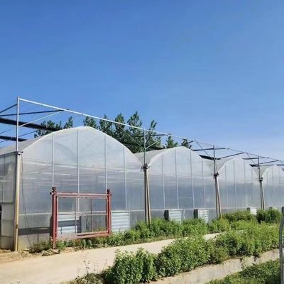 Produção de produtos hortícolas Po Film Greenhouse com sistema de sombreamento e reembolso de 30 dias