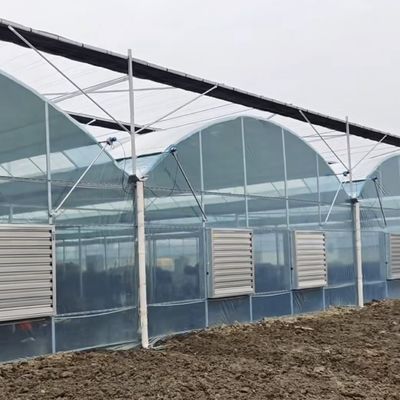 Produção de produtos hortícolas Po Film Greenhouse com sistema de sombreamento e reembolso de 30 dias