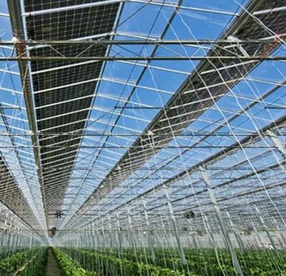 Customização Multi-Span Arco Tipo Pepino Alface Estufas fotovoltaicas jx-SG-20