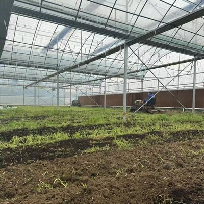 Estufas de filmes múltiplos para hidroponia protegem as plantas do clima severo