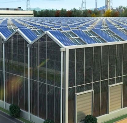 Customização Multi-Span Arco Tipo Pepino Alface Estufas fotovoltaicas jx-SG-20