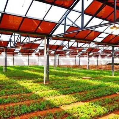 Estruturas de aço Estufas Tecnologia de isolamento térmico com normas