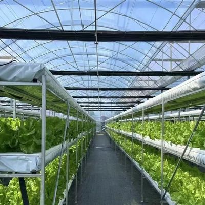Pacote Tamanho 50,00cm * 60,00cm * 50,00cm Estufa Multi-Span com irrigação por gotejamento