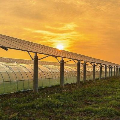 Frigorífico de revestimento de várias camadas para energia solar 2000.000kg de peso bruto do pacote