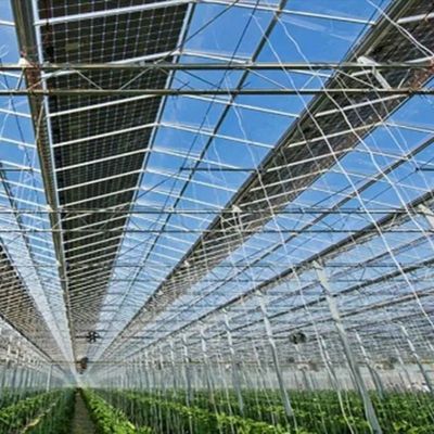 Frigorífico de revestimento de várias camadas para energia solar 2000.000kg de peso bruto do pacote