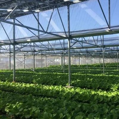 Inovadoras estufas fotovoltaicas comerciais de uma única/múltiplas faixas para o crescimento sustentável