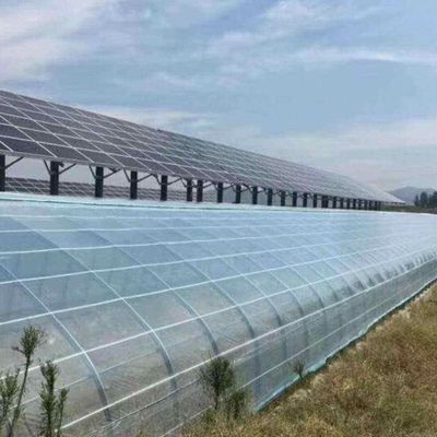 Inovadoras estufas fotovoltaicas comerciais de uma única/múltiplas faixas para o crescimento sustentável