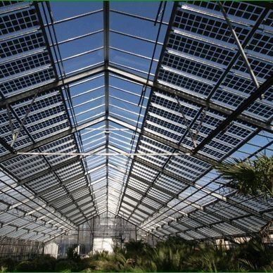 Armazenamento de calor Estufas fotovoltaicas comerciais de arco único Função duradoura