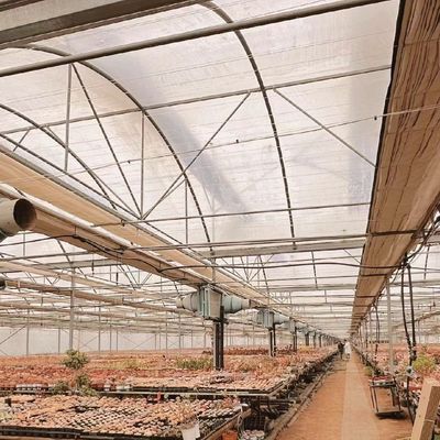 Estufas de produção de vegetais Po Film com sistema de tubulação de água e baixo custo de transporte