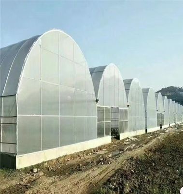 Estufas de grande diâmetro para o cultivo em larga escala