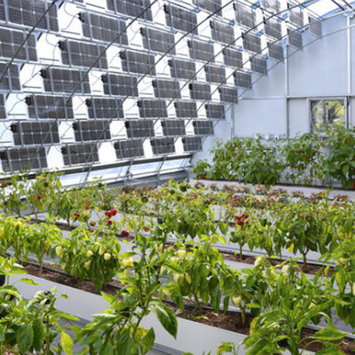 Sistema fotovoltaico para estufas de plástico PE/Po para a agricultura sustentável