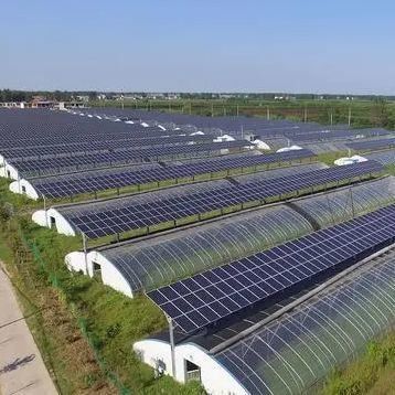 Projetos inovadores de estufas solares para pagamento inicial e comercial