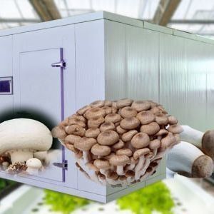 Estufas de contêineres de transporte para o cultivo de cogumelos em projeto inteligente JX-CG-0001