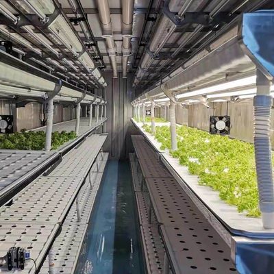 Estufas de contêineres de transporte para o cultivo de cogumelos em projeto inteligente JX-CG-0001