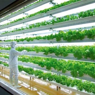 Estufas de contêineres de transporte para o cultivo de cogumelos em projeto inteligente JX-CG-0001