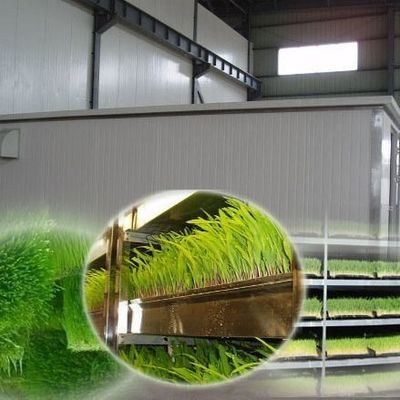 Forragem em recipientes multifuncionais para reprodução de flores/vegetais/sementes em dupla camada