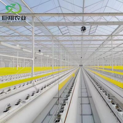 Estrutura de aço Container de agricultura vertical Estufas com sistema hidropónico multi-span