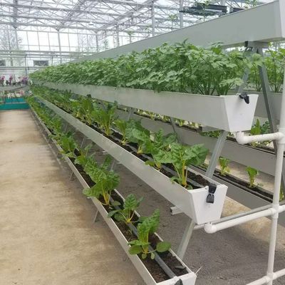 Estufas para a produção de produtos agrícolas em recipientes verticais de grande extensão com sistema de cultura de substrato