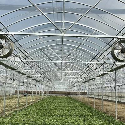 Estufas multi-espans com tecnologia avançada 50.00cm * 60.00cm * 50.00cm