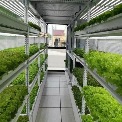 Agricultura em recipientes com sistema hidropónico adequada para o cultivo de vegetais, frutas e flores