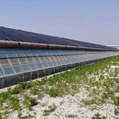 Frigoríficos de plástico Frigorífico comercial de Po/PE com hidroponia