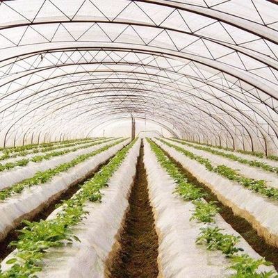 Frigoríficos de plástico Frigorífico comercial de Po/PE com hidroponia