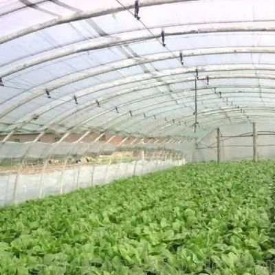 Frigoríficos de plástico Frigorífico comercial de Po/PE com hidroponia