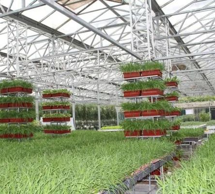 Filtro de controle de umidade multi-span Estufas para vegetais Otimizar o crescimento dos vegetais