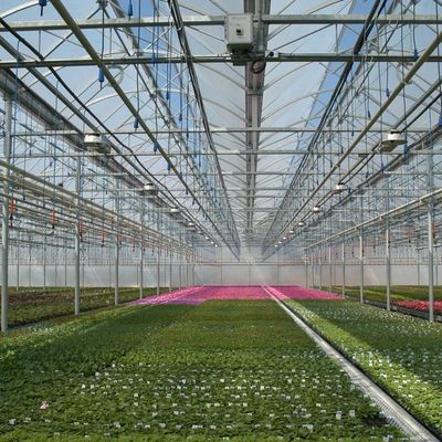 Estufas hidropónicas de aquecimento temporário com sistema de controlo de umidade JX-FG-212