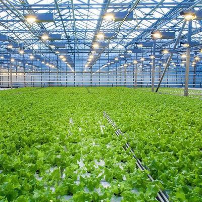 Estufas hidropónicas de aquecimento temporário com sistema de controlo de umidade JX-FG-212