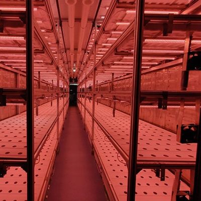 Economize espaço com o nosso sistema de hidroponia vertical avançada