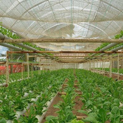 Sistema de estufa de película comercial de dupla camada para gestão da umidade nas estufas