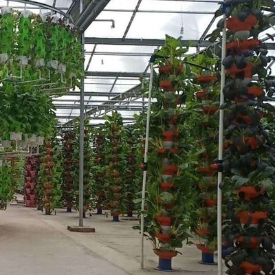 Estufas adequadas para o cultivo de mudas de folha de plástico