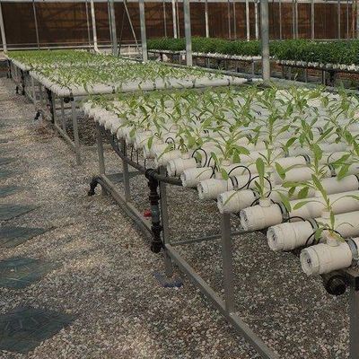 Tecnologia sem solo e aquecimento temporário