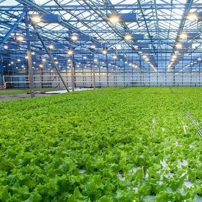 Tecnologia sem solo e aquecimento temporário