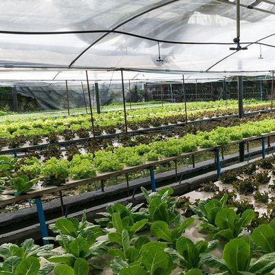 Tecnologia sem solo e aquecimento temporário