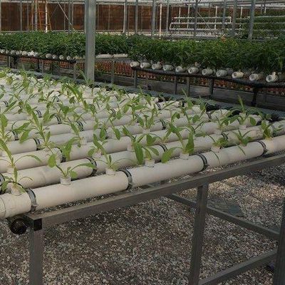 Projeto de estufas de cultura sem solo para vegetais e método de aquecimento temporário