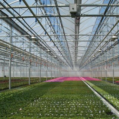 Projeto de estufas de cultura sem solo para vegetais e método de aquecimento temporário