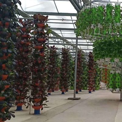 Departamento Económico Estufas de plástico com hidroponia e aquecimento temporário
