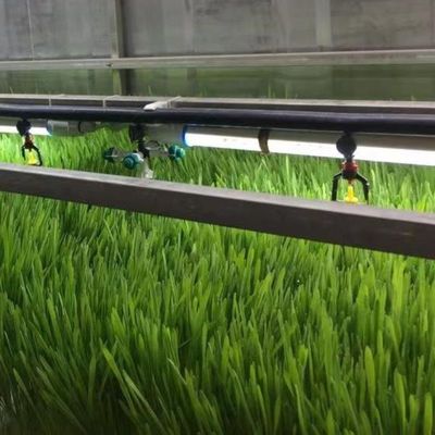 Sistema de cultivo comercial de microgreens de hidroponia interior com JX-Container-Greenhouse