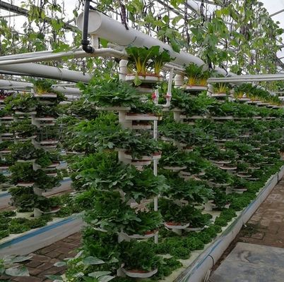 Aquecedor de telhado com arco de forma multi-span para hidroponia controlada a temperatura