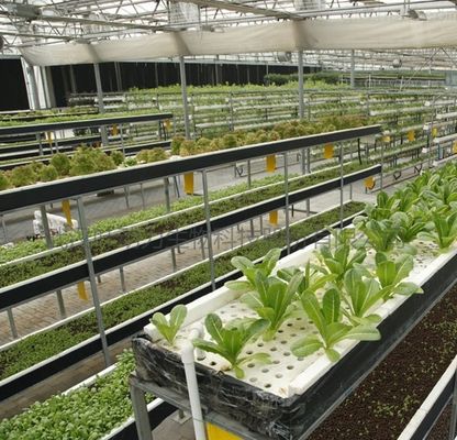 Aquecedor de telhado com arco de forma multi-span para hidroponia controlada a temperatura