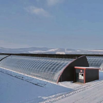 Tejo arqueado Aquicultura Filme vegetal Luz solar Estufas de morango dos EUA