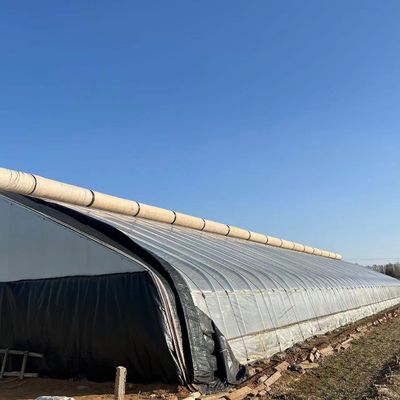 Tejo arqueado Aquicultura Filme vegetal Luz solar Estufas de morango dos EUA