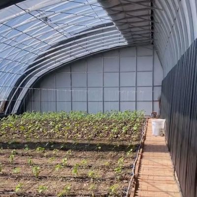 Tejo arqueado Aquicultura Filme vegetal Luz solar Estufas de morango dos EUA