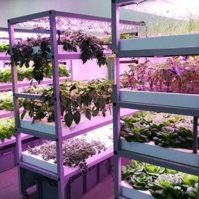 Sistema de iluminação para estufas em recipientes Pacote Peso bruto 2000.000kg Moeda EUA