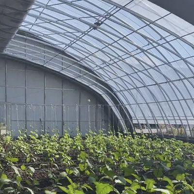 Sistema de estufa de hidroponia de filme vegetal personalizável para eficiência multi-span