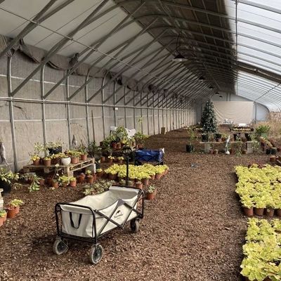 Estrutura de aço Sistema de irrigação por gotejamento para plantação de flores com reembolso de 30 dias